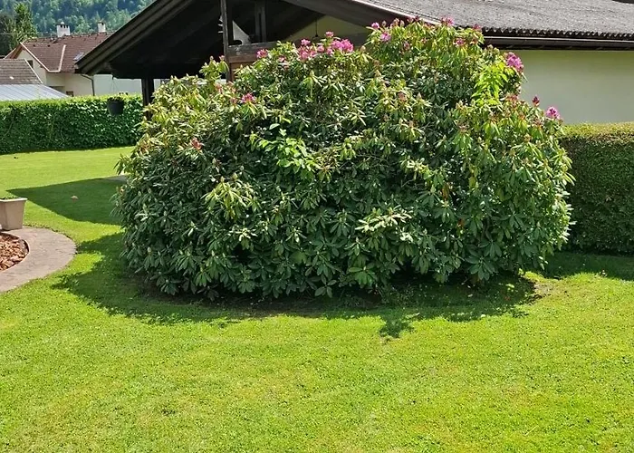 Viering Nocleg ze śniadaniem *