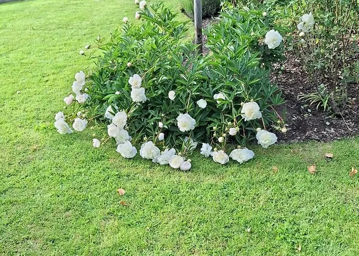 Nocleg ze śniadaniem Viering *