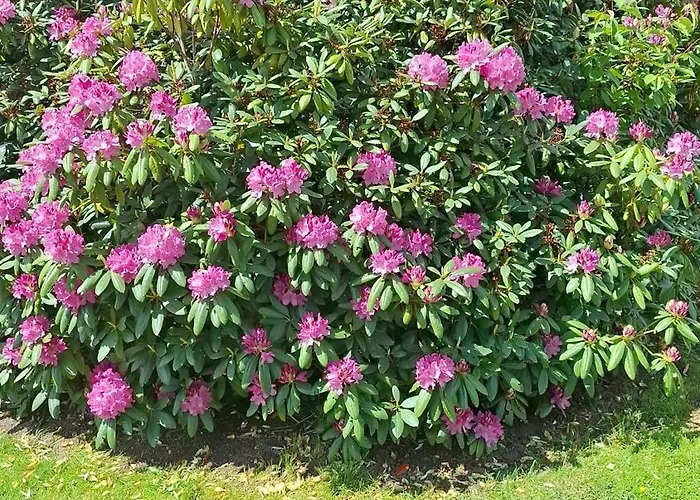 Nocleg ze śniadaniem Viering