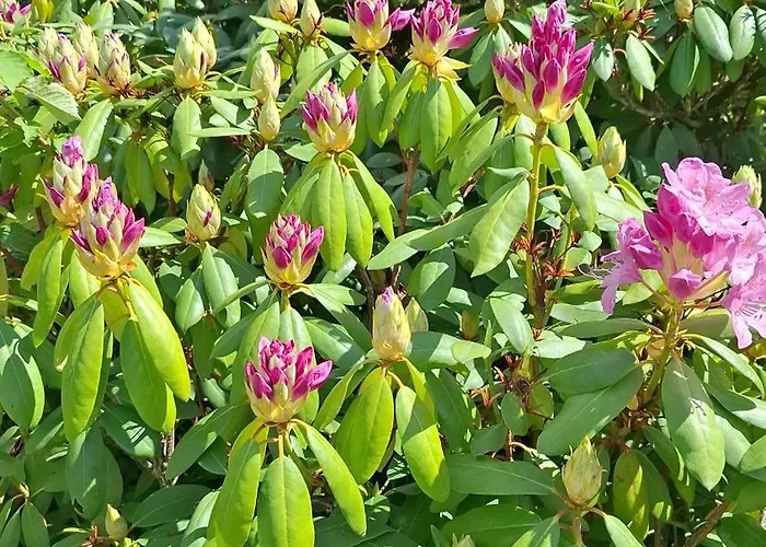 Nocleg ze śniadaniem Viering